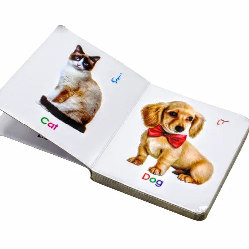 Animals Reading Book