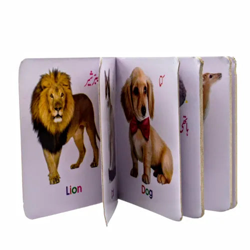 Animals Reading Book