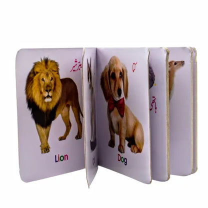 Animals Reading Book