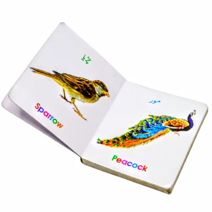Birds Reading Book