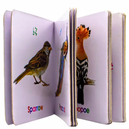Birds Reading Book