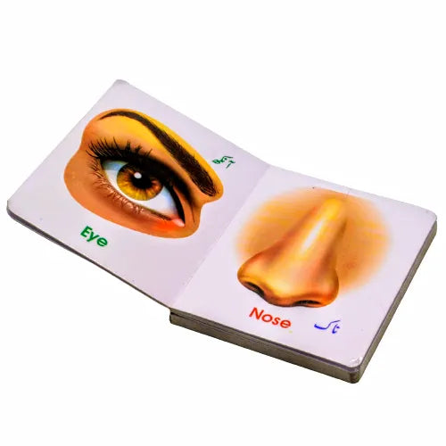 Body Parts Reading Book